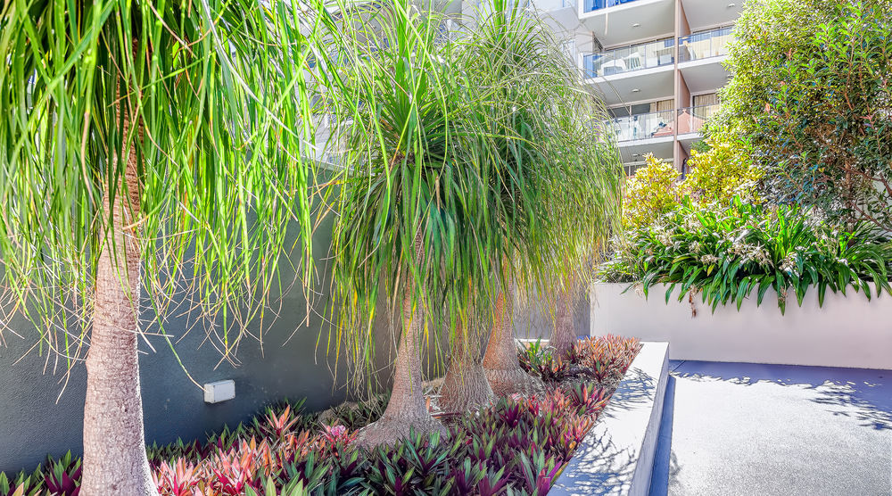 Trilogy Residences Μπρίσμπεϊν Εξωτερικό φωτογραφία